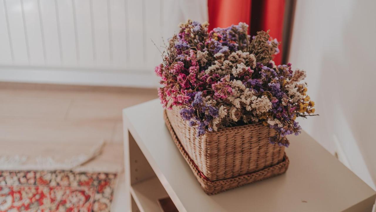 Salon Apartment In Dorcol Historical เบลเกรด ภายนอก รูปภาพ
